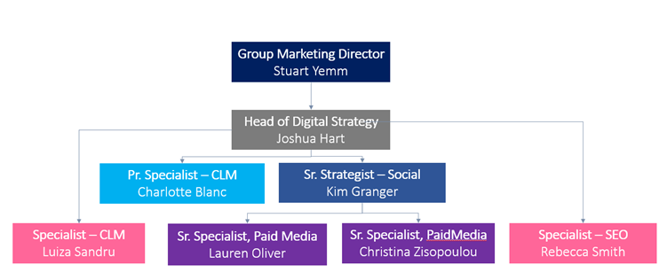 Digital Strategy Team Organisation Chart